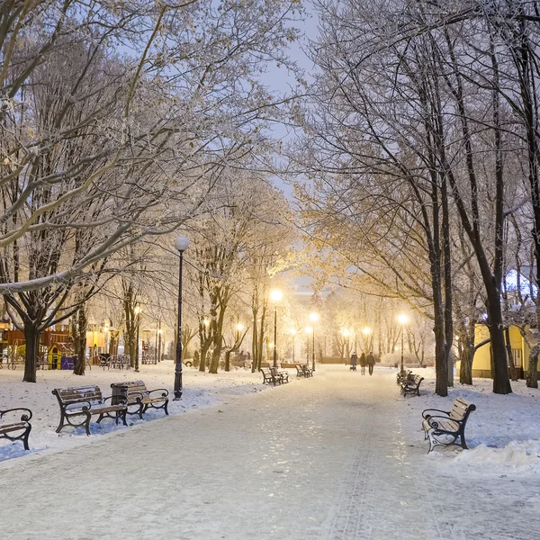 환상적 인 겨울 도시 공원의 걷기 — 스톡 사진