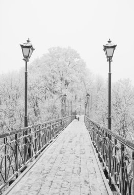 Kış city park. Kiev aşıklar Köprüsü. Ukrayna.