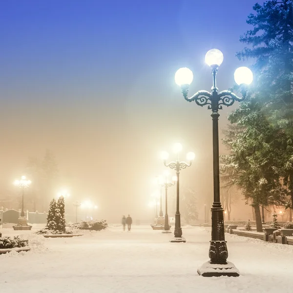 Sentiero in un favoloso parco cittadino invernale — Foto Stock