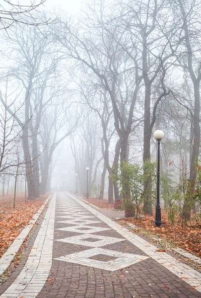 Foggy morning in city park — Stock Photo, Image