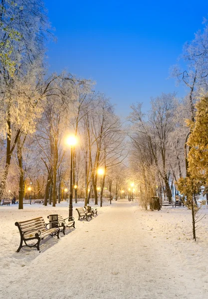 Wandelpad in een prachtig winter stadspark — Stockfoto