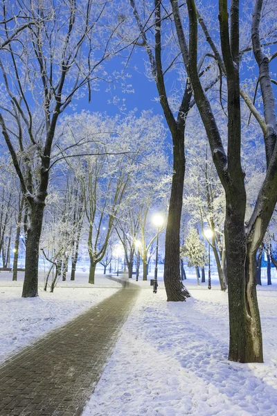 Wandelpad in een prachtig winter stadspark — Stockfoto