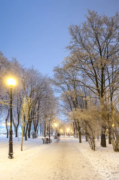 Fußweg im märchenhaften Winter-Stadtpark — Stockfoto