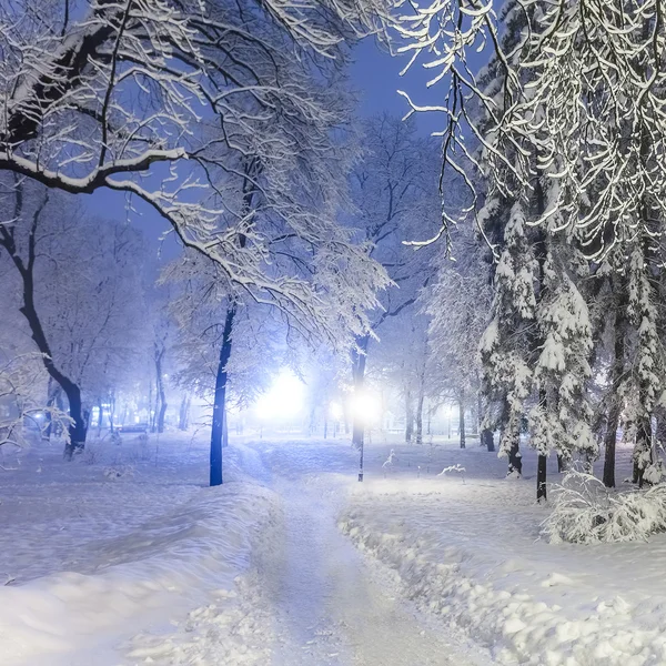 Sentiero in un favoloso parco cittadino invernale — Foto Stock