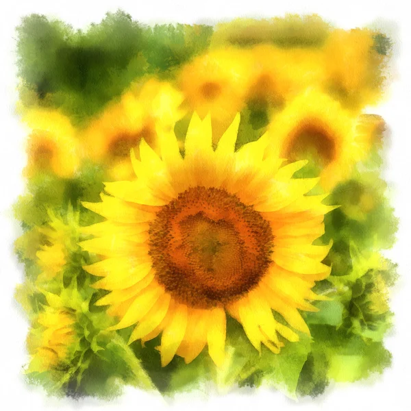 Peinture de paysage montrant avec champ de tournesol — Photo