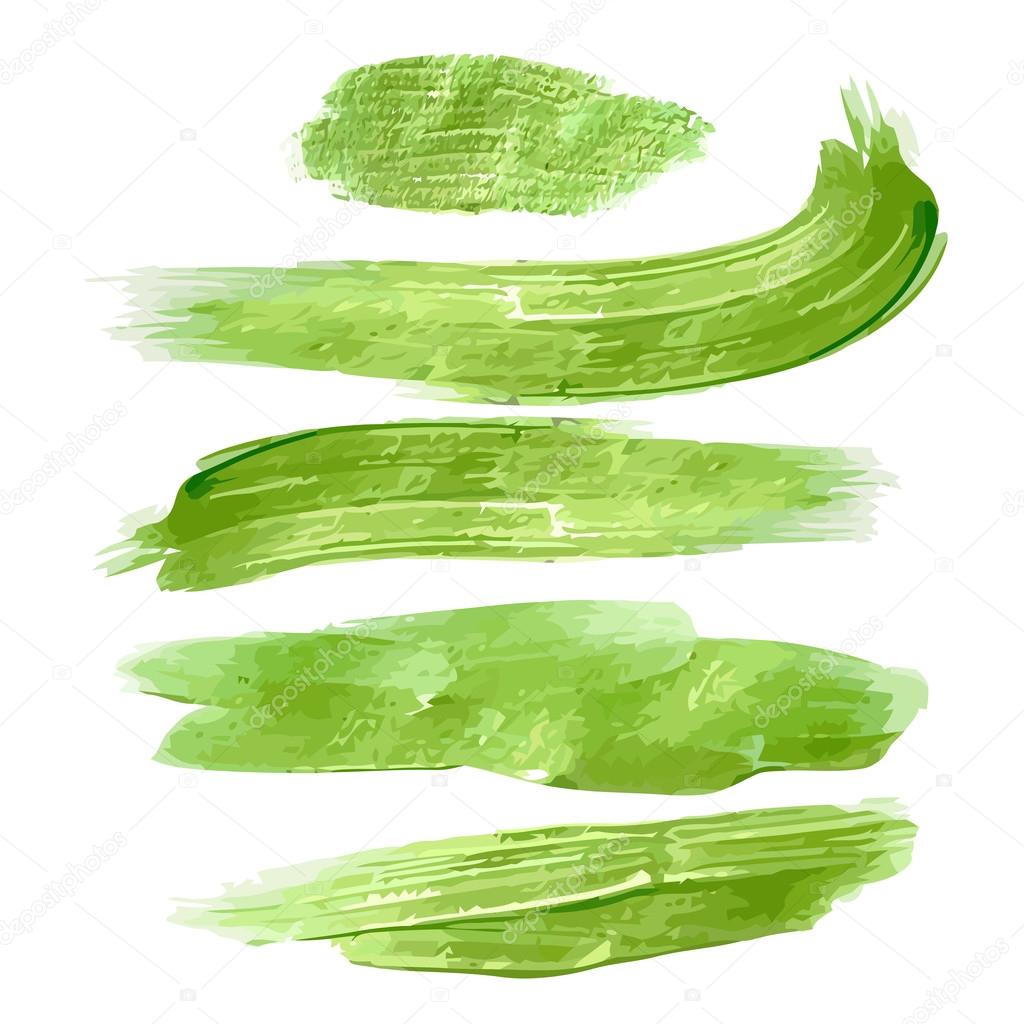 Green vector watercolor brush strokes for your design on white background