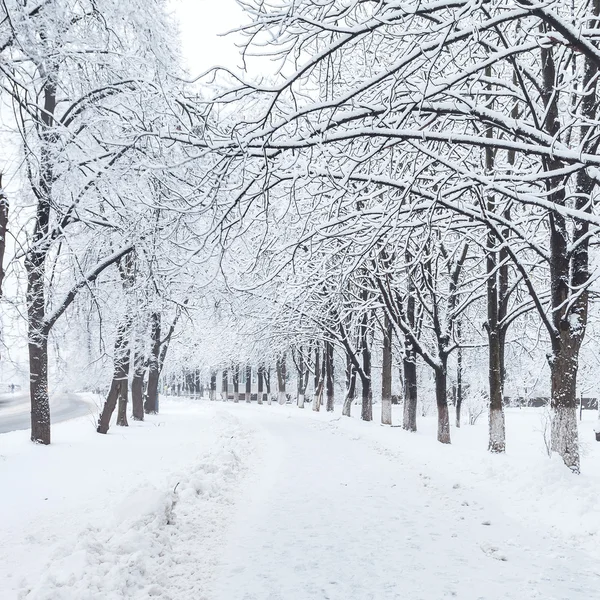 Parque de la ciudad de invierno por la mañana — Foto de Stock