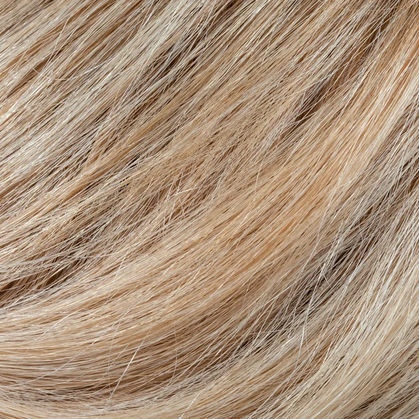 물결 금발 여자 머리 배경과 텍스처 — 스톡 사진