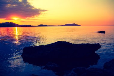 minimalist, puslu bir manzara. Ukrayna.