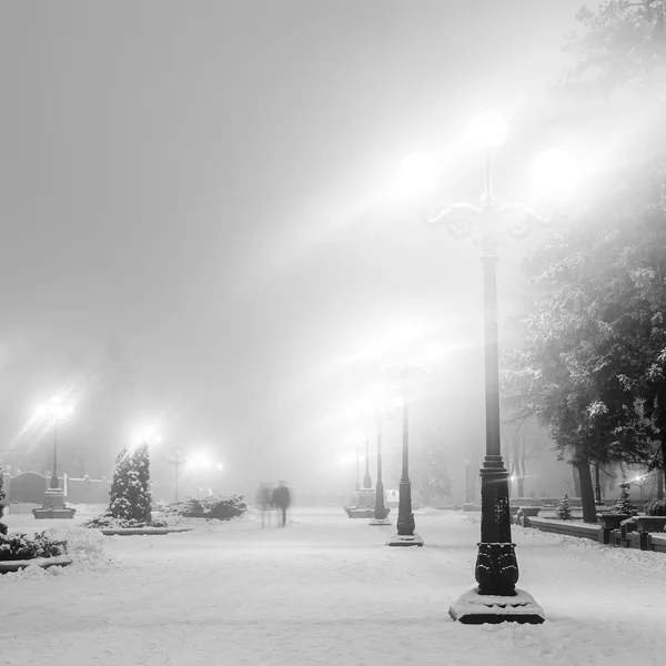 Muhteşem bir kış kenti parkında patika — Stok fotoğraf
