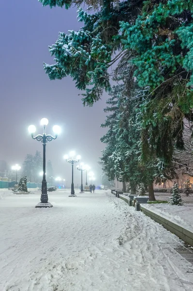 Sentier pédestre dans un fabuleux parc d'hiver — Photo