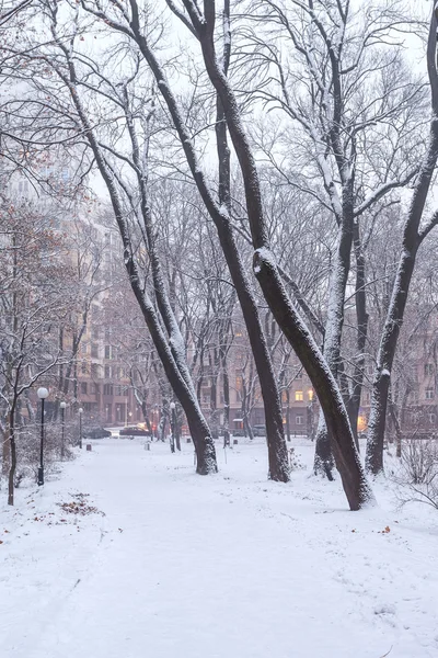 Footpath in a fabulous winter city park — Stock Photo, Image