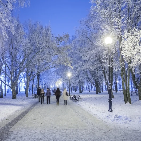 Stezka v nádherném zimním městském parku — Stock fotografie