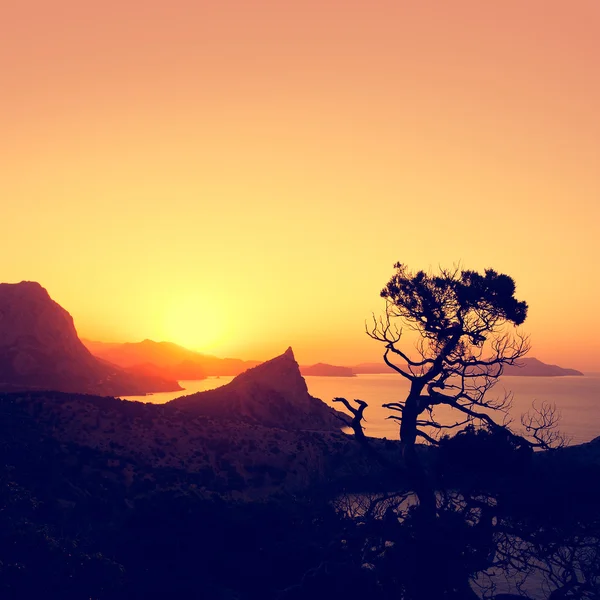 Lever de soleil dans les montagnes avec silhouette d'arbre et mer. Crimée paysage . — Photo