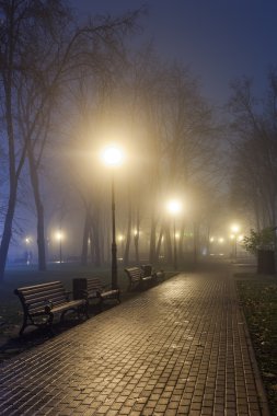The avenue of autumn city park at night