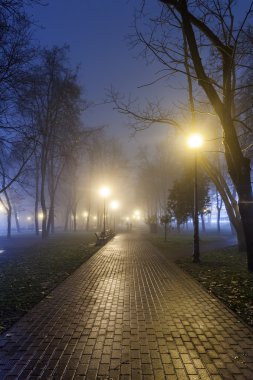 The avenue of autumn city park at night