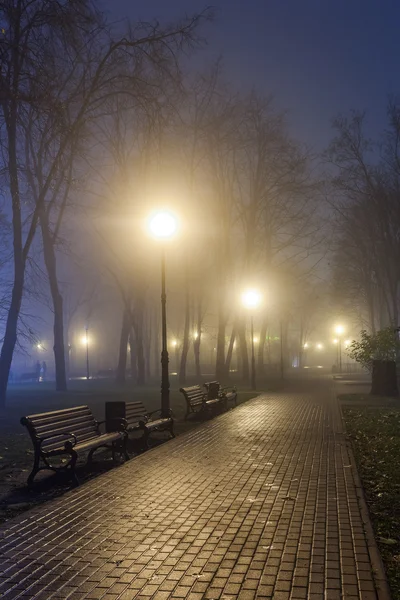 The avenue of autumn city park at night — Stock fotografie