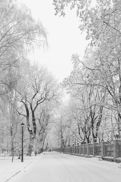 Parque de la ciudad de invierno por la mañana —  Fotos de Stock