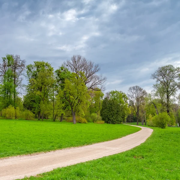 Beautiful summer landscape with field of green grass and perfect sky — Stock Photo, Image