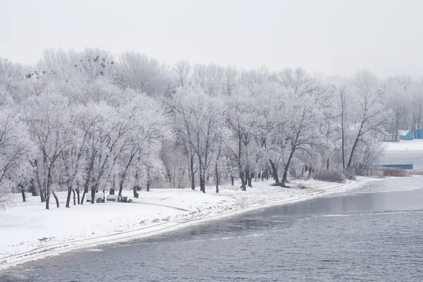 Parc urbain d'hiver — Photo