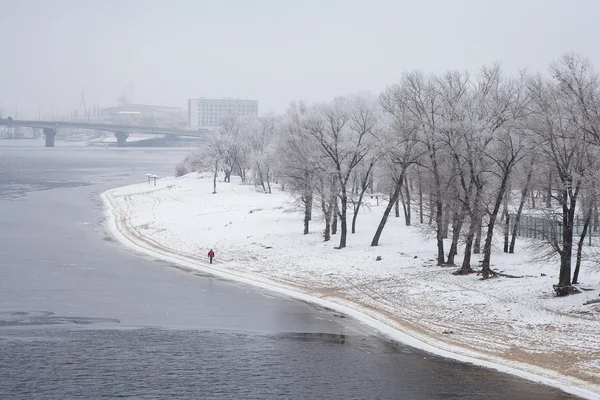 Parco urbano invernale — Foto Stock