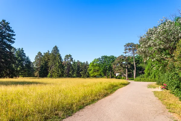 Vacker sommar landskap med grönt gräs och vandringsled — Stockfoto