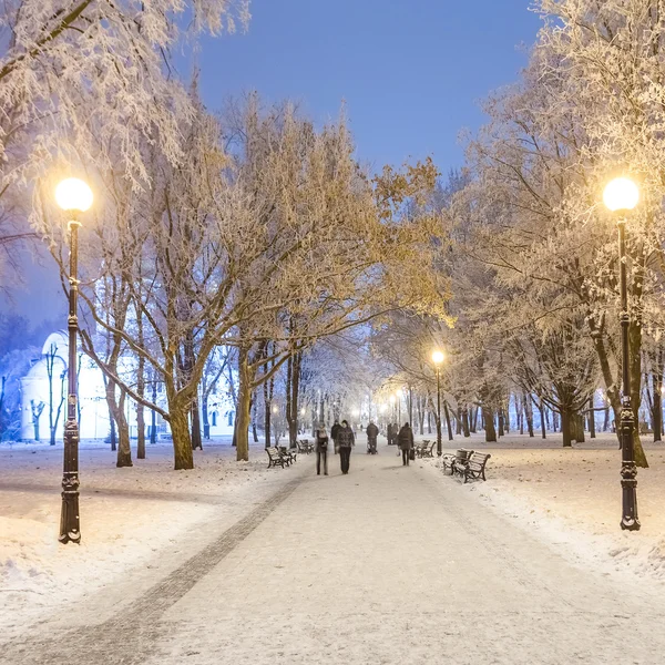Footpath in a fabulous winter city park — Stock Photo, Image