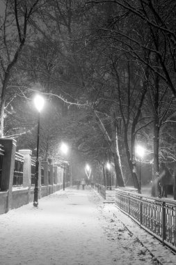 Gece muhteşem kış Şehir parkındaki patika