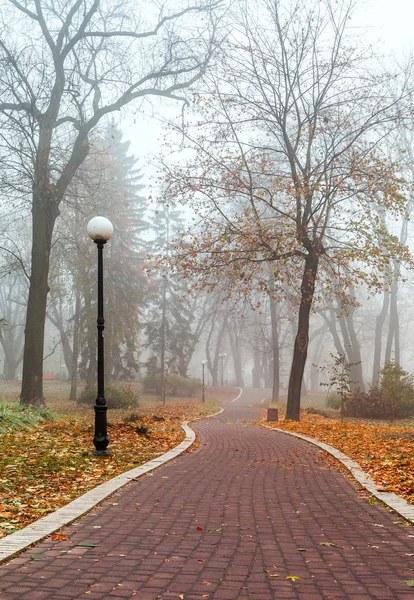 La avenida de niebla parque de la ciudad de otoño por la mañana — Foto de Stock