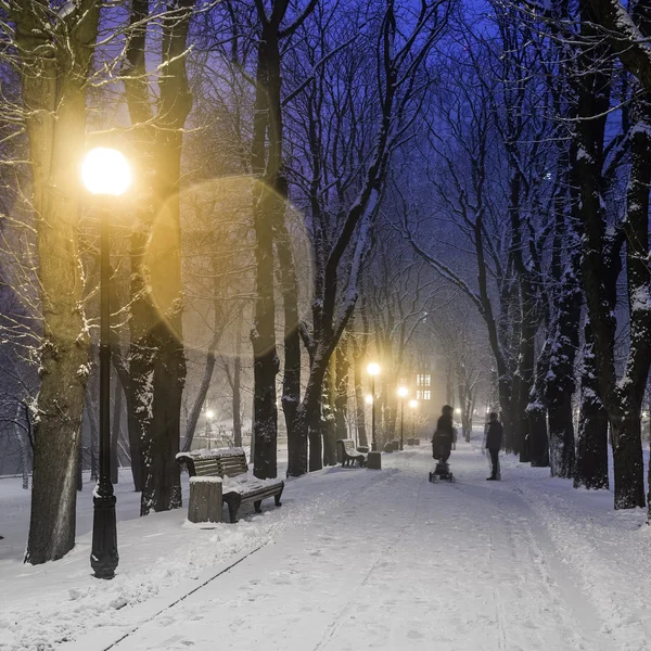 Fußweg im märchenhaften Winter-Stadtpark — Stockfoto