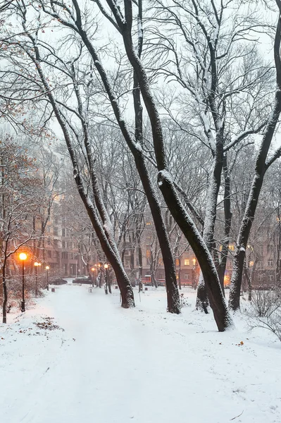Sendero en un fabuloso parque de invierno de la ciudad —  Fotos de Stock