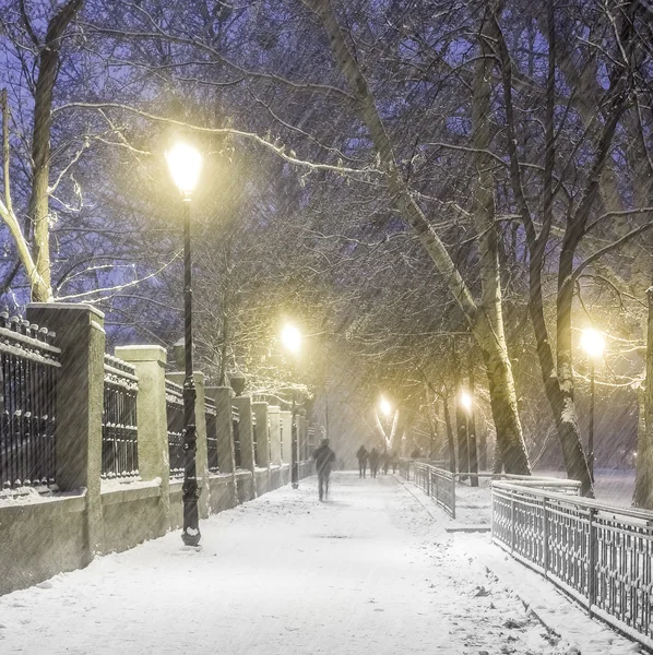 Passo a passo em um fabuloso parque da cidade de inverno — Fotografia de Stock