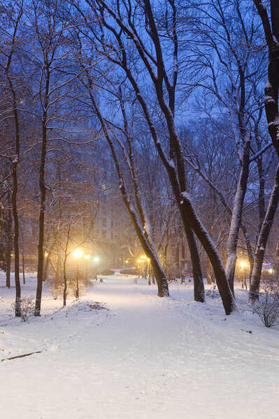 Footpath in a fabulous winter city park