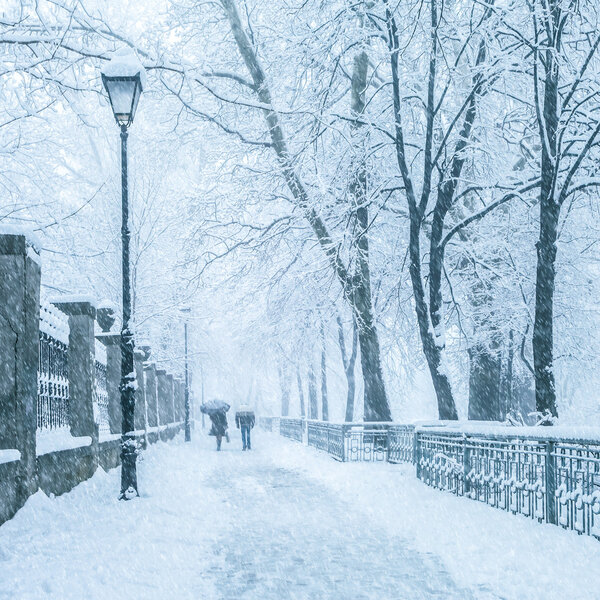 Fabulous winter city park in morning