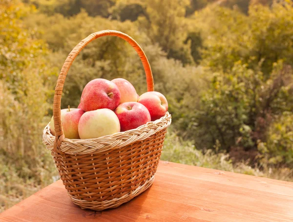 Manzanas en una cesta en la mesa de madera contra el fondo del jardín en el día soleado — Foto de Stock