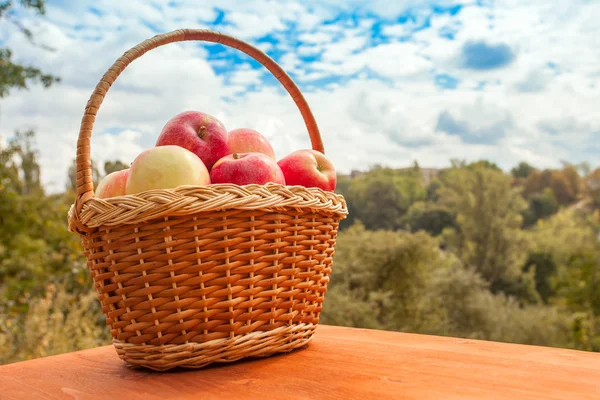 Яблоки в корзине на деревянном столе на фоне сада в солнечный день — стоковое фото