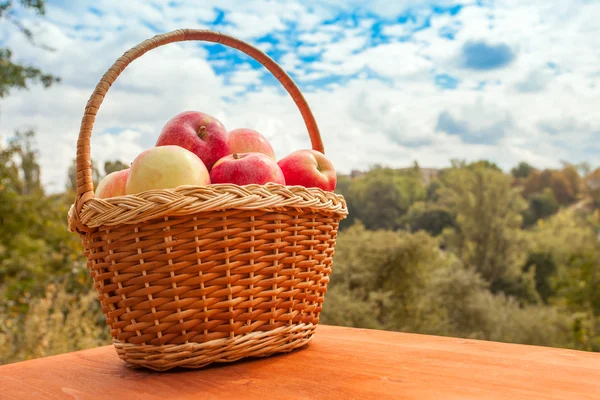 Mele in un cesto su un tavolo di legno sullo sfondo del giardino nella giornata di sole — Foto Stock