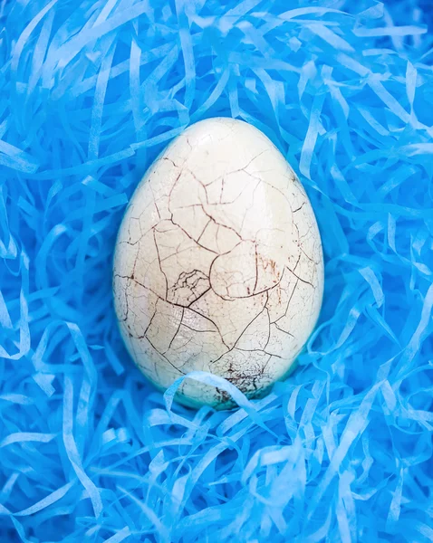Gebarsten Paasei in het blauwe nest. — Stockfoto
