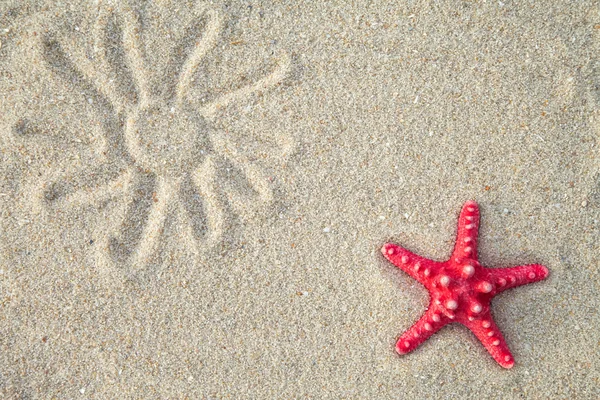 Sjöstjärnor och havet skal med sand som bakgrund — Stockfoto