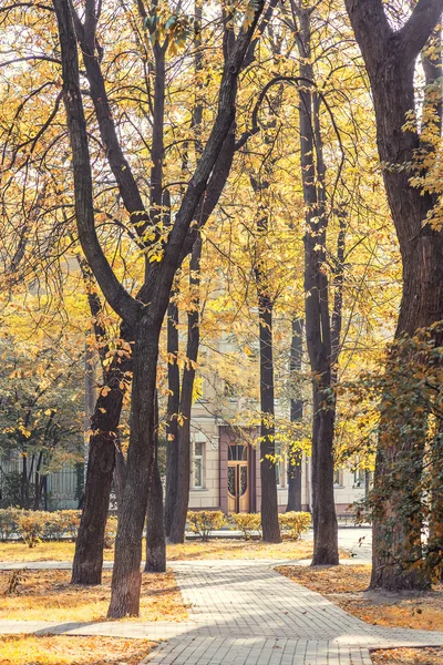 Parque de otoño de la ciudad por la mañana —  Fotos de Stock