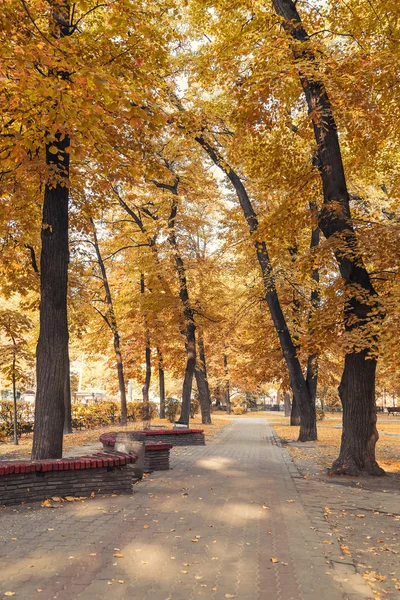 Осенний городской парк утром — стоковое фото