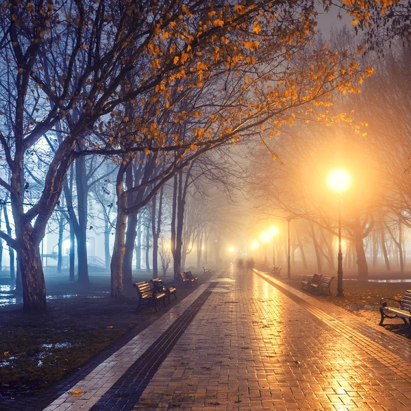 People in autumn city park at night — Stock Photo, Image