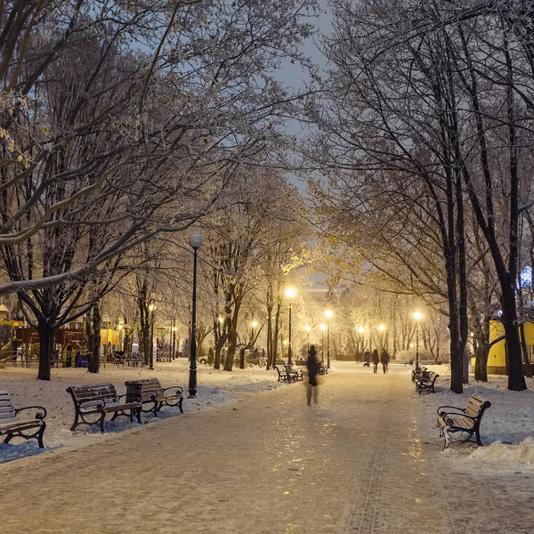 Sentiero in un favoloso parco cittadino invernale — Foto Stock