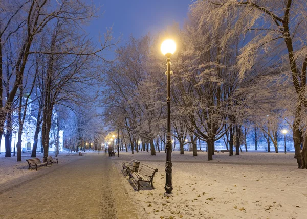 Ścieżka piesza w bajecznym zimowym parku miejskim — Zdjęcie stockowe