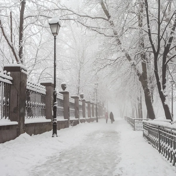 Zimowy park miejski w rano — Zdjęcie stockowe