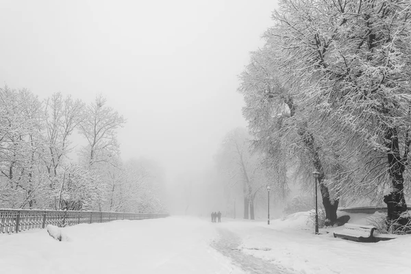 Μονοπάτι σε ένα υπέροχο πάρκο της πόλης το χειμώνα — Φωτογραφία Αρχείου