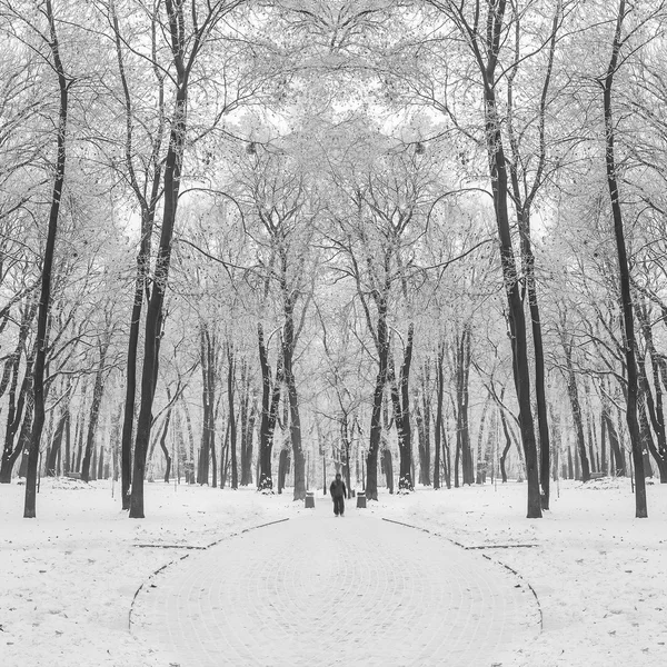 Sentier pédestre dans un fabuleux parc d'hiver — Photo