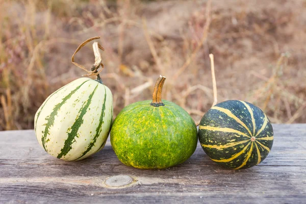 Autumn pumpkins with leaves on wooden board with shallow depth of field — Stock Photo, Image