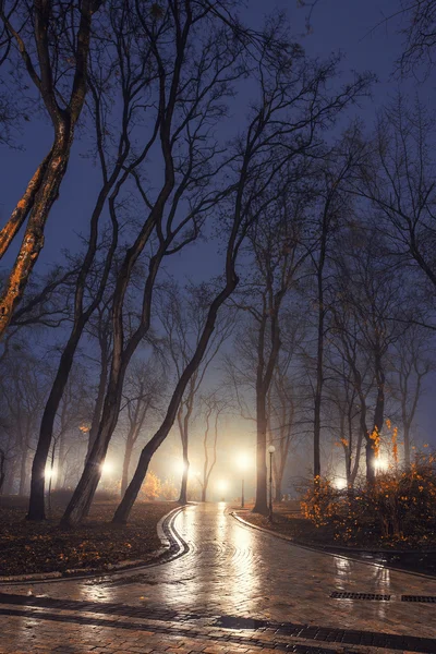 Sentiero in un favoloso parco cittadino autunnale di notte nella nebbia — Foto Stock