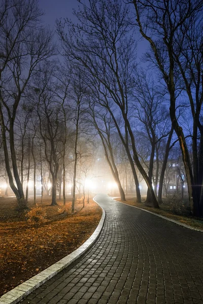 Fußweg in einem märchenhaften herbstlichen Stadtpark bei Nacht im Nebel — Stockfoto